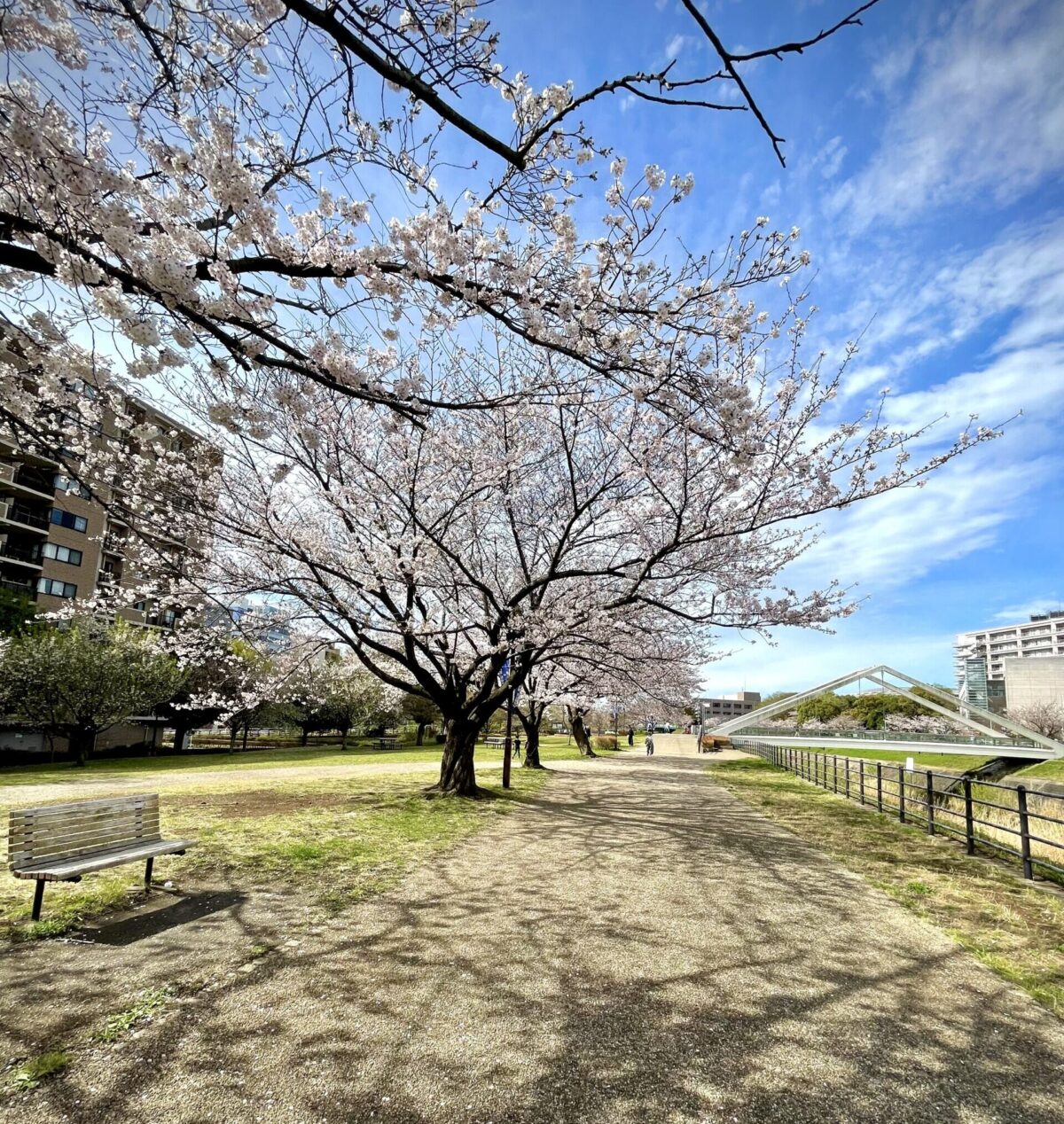 新横浜駅前緑地