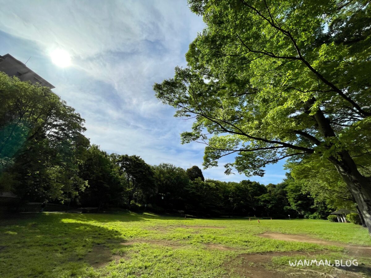 茅ヶ崎公園広場