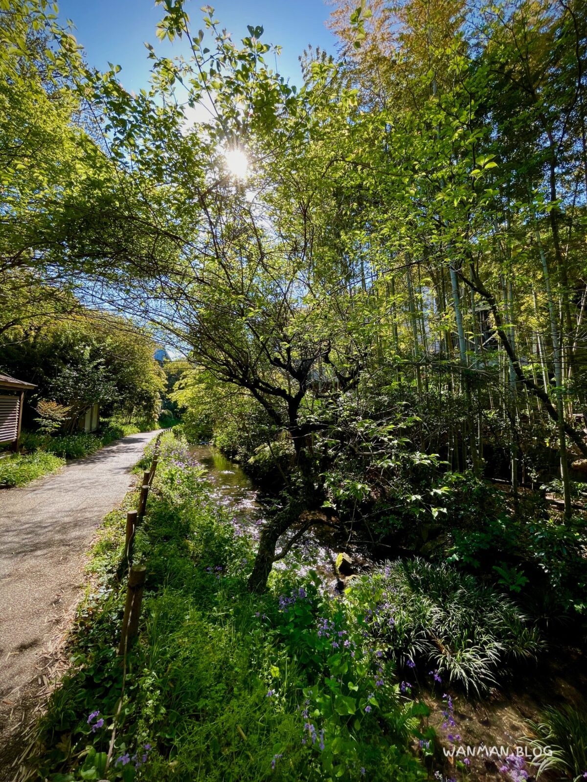 帷子川親水公園