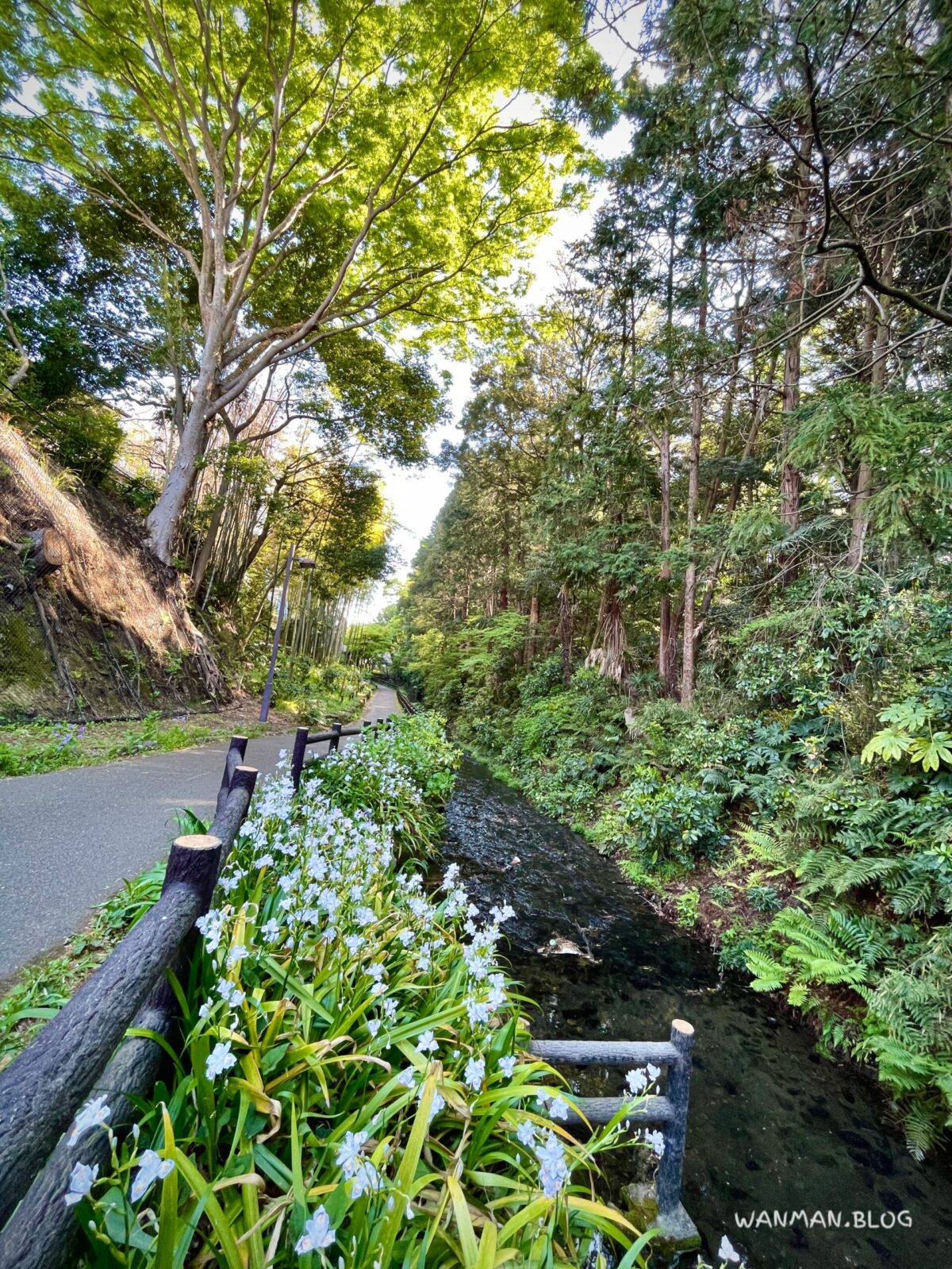 帷子川親水緑道せせらぎゾーン