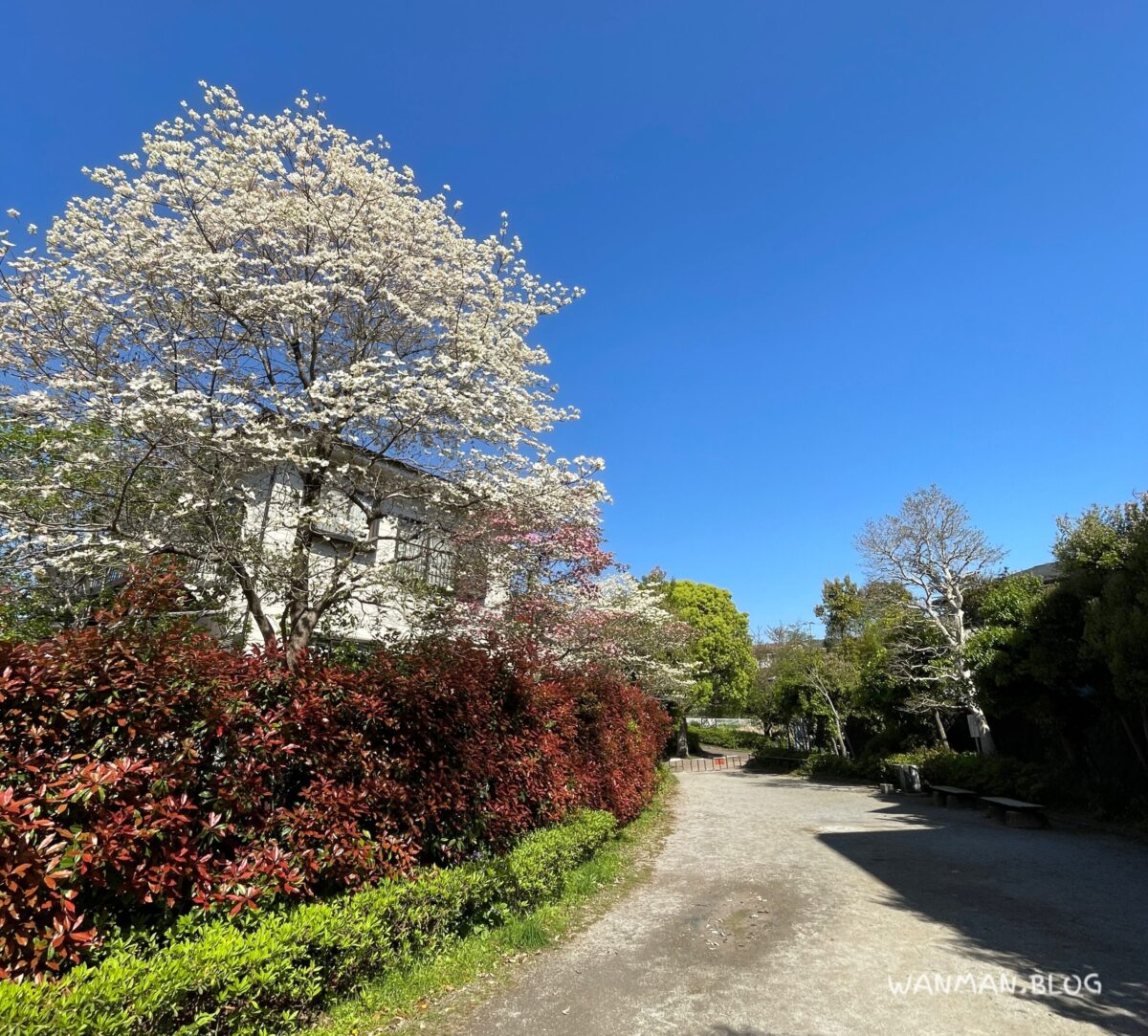 Katabira-river-shinsui-park