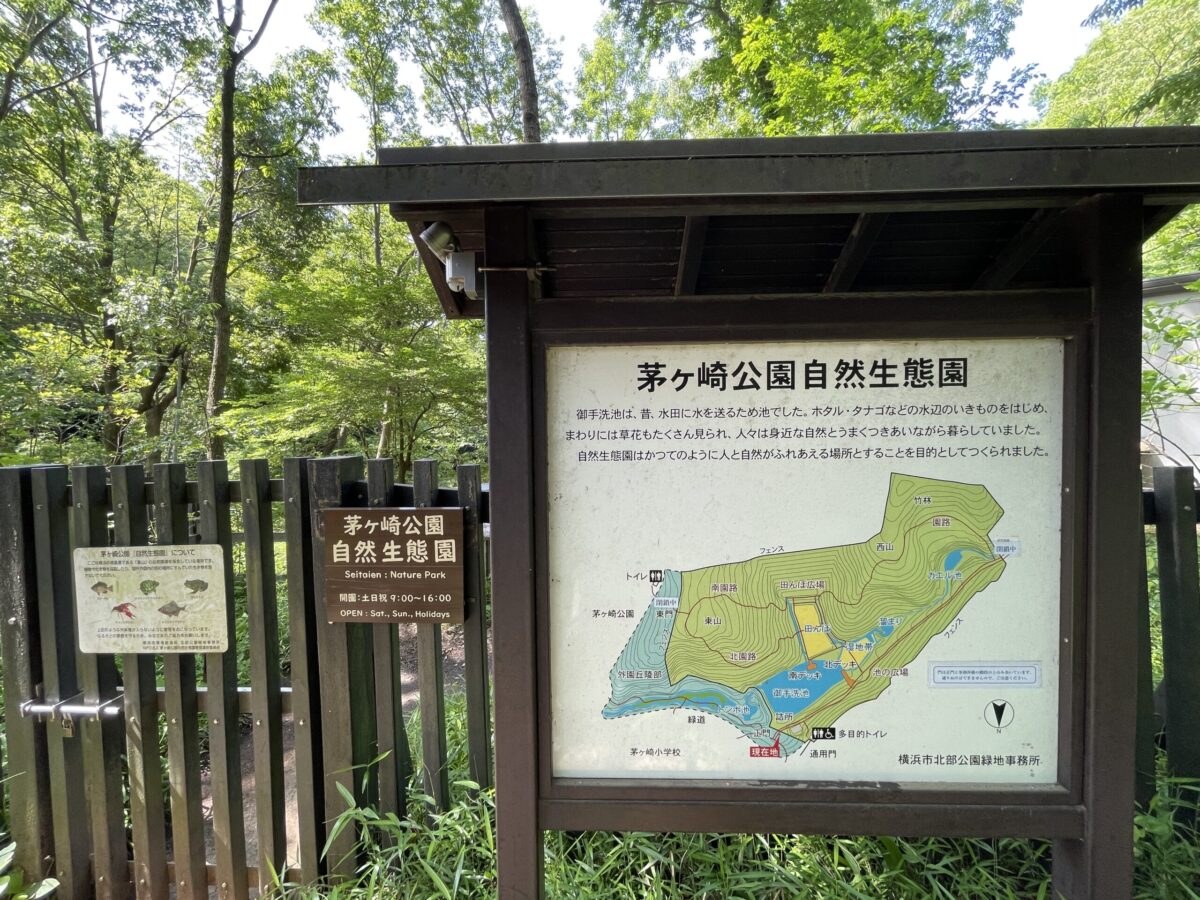 自然生態園