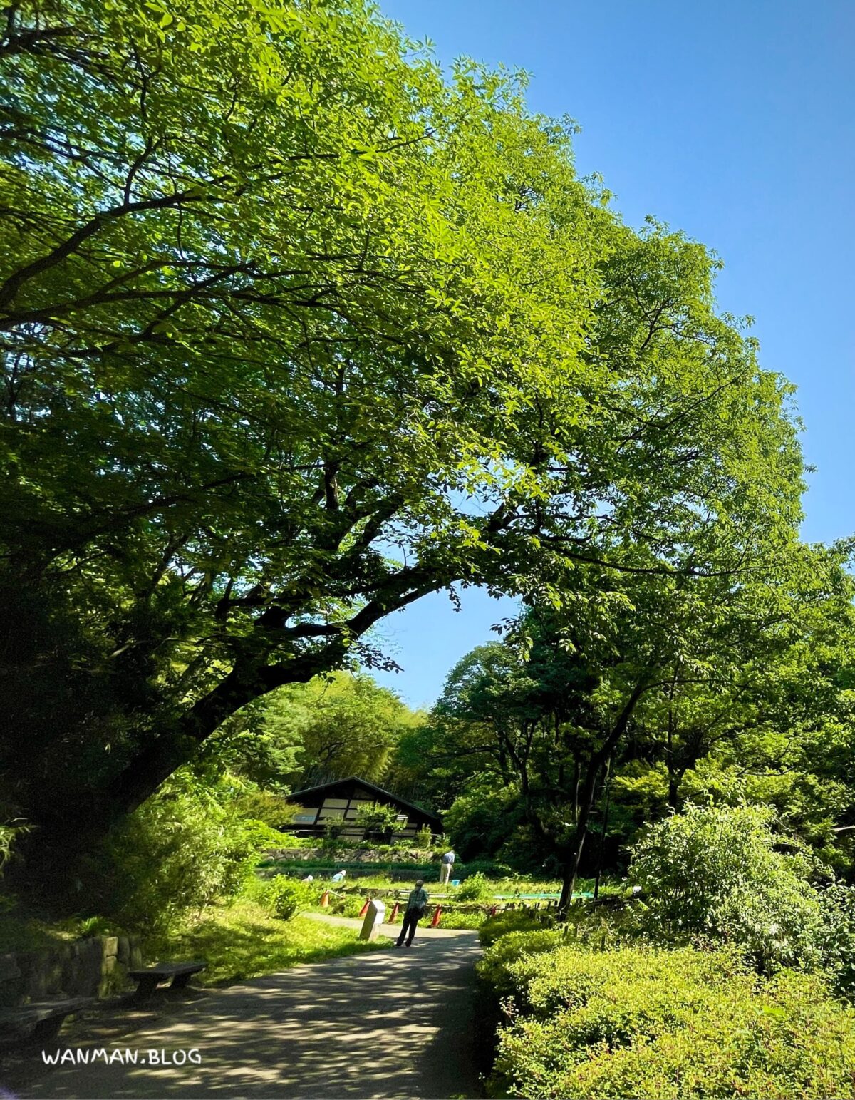 都筑中央公園