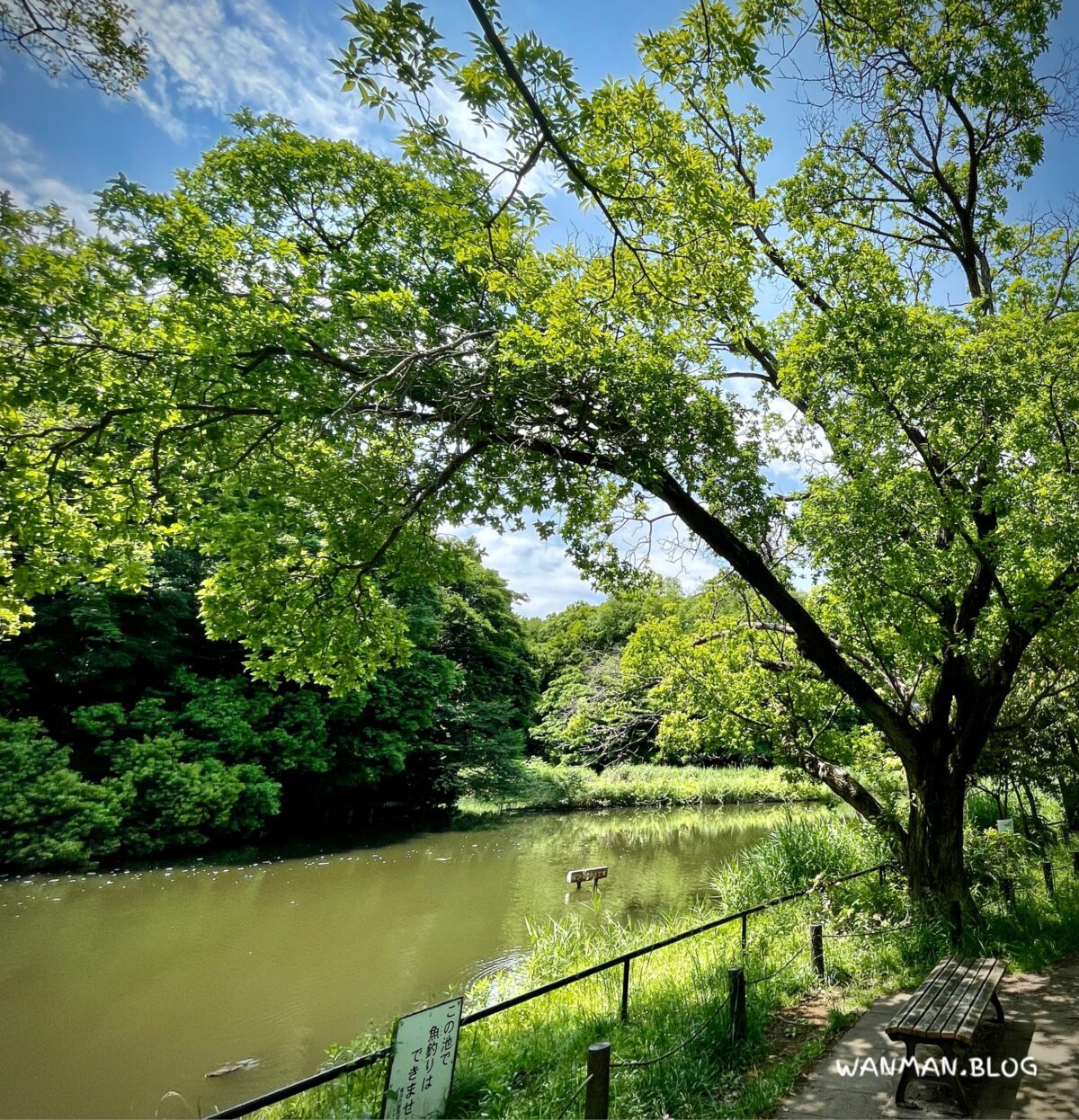 鴨池公園