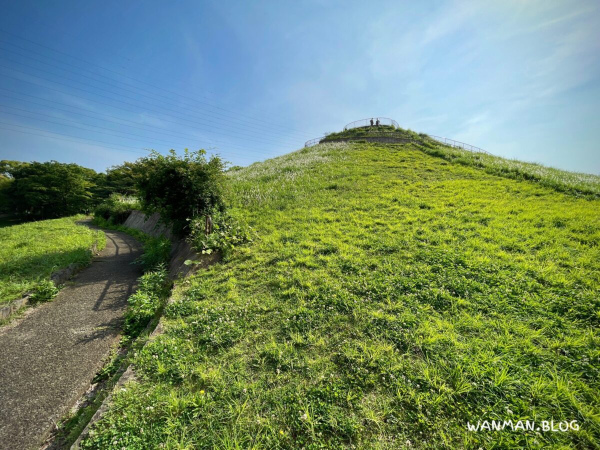 川和富士公園