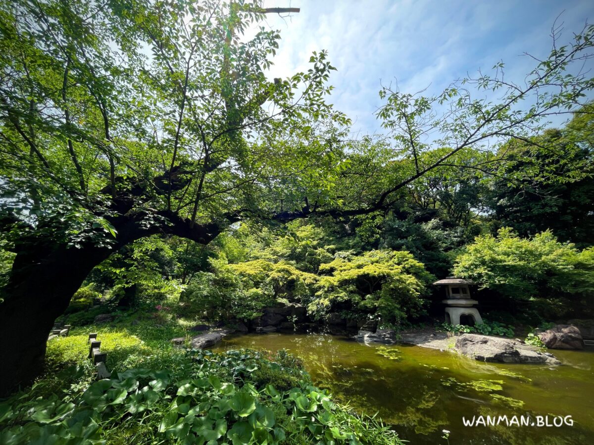 掃部山公園