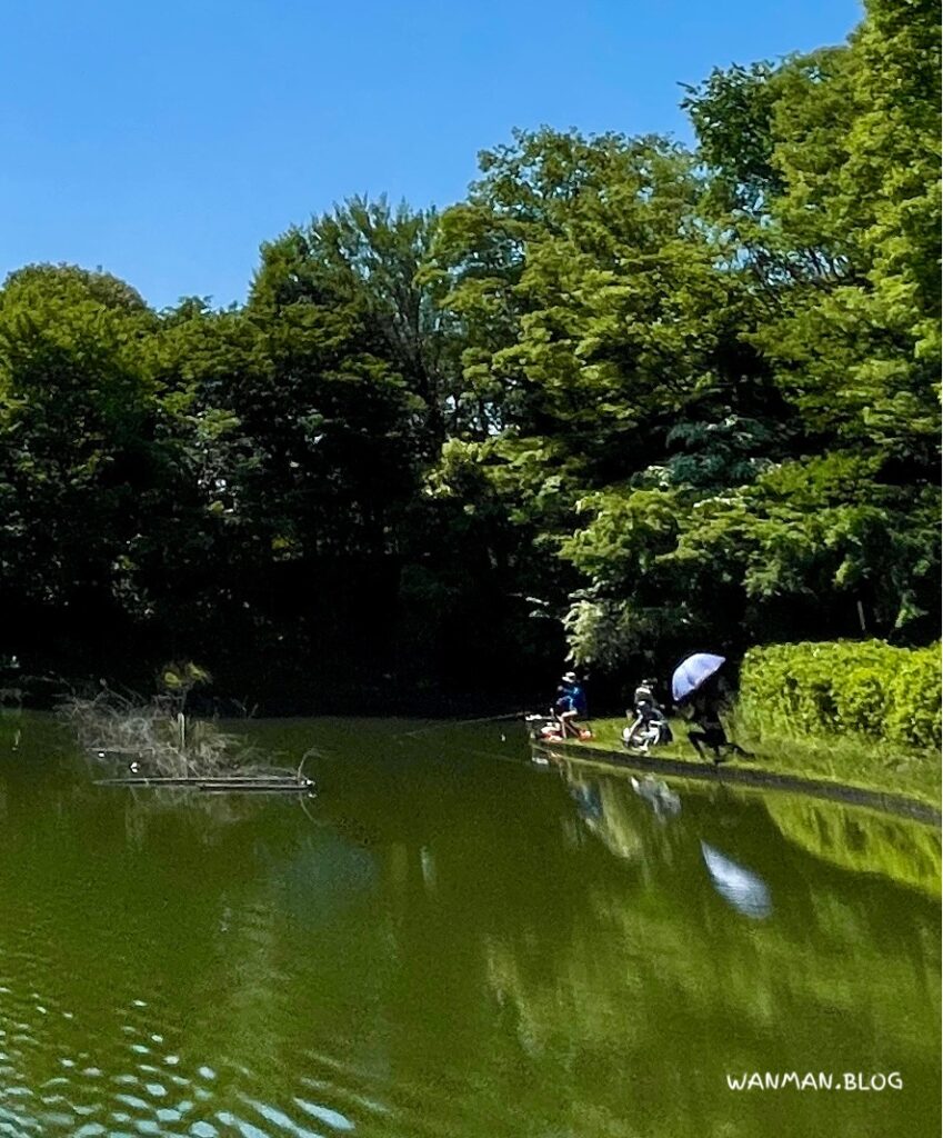 山崎公園　池