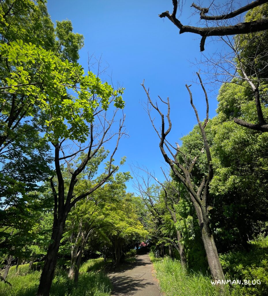 山崎公園