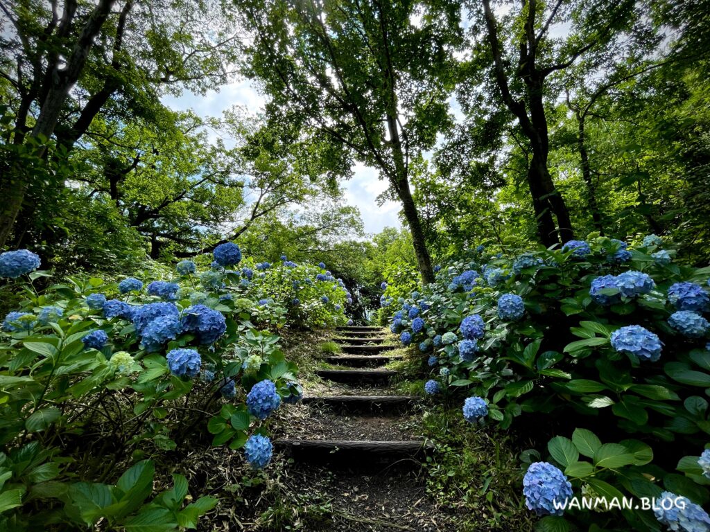 鳥山公園