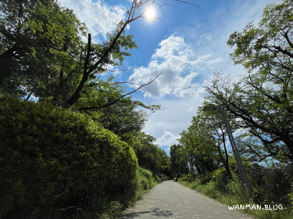 花と緑の散歩