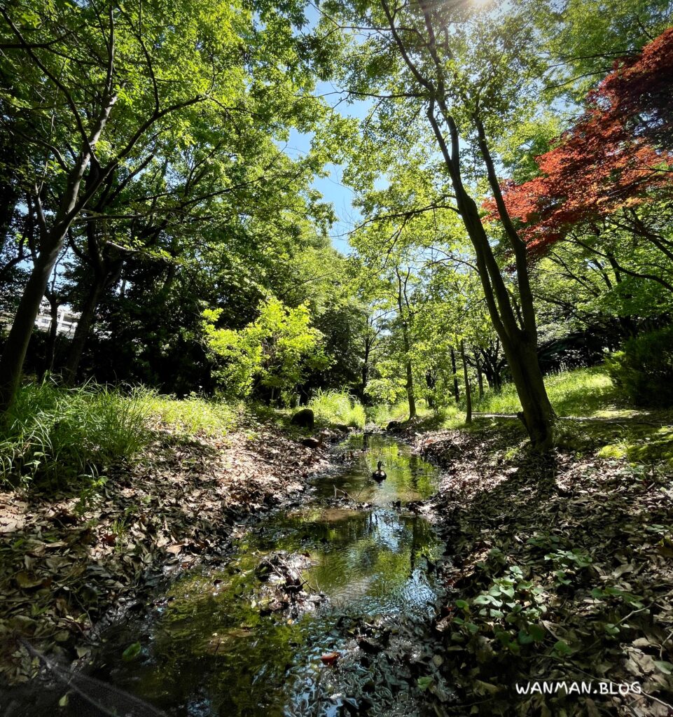 牛久保公園