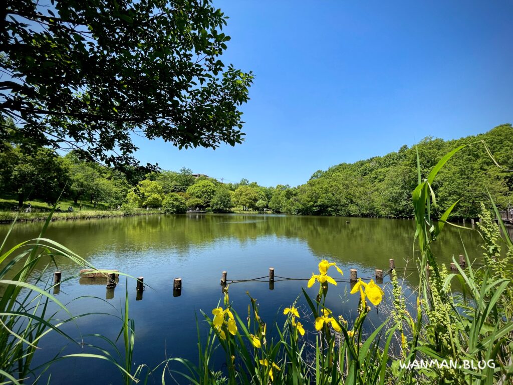 徳生公園