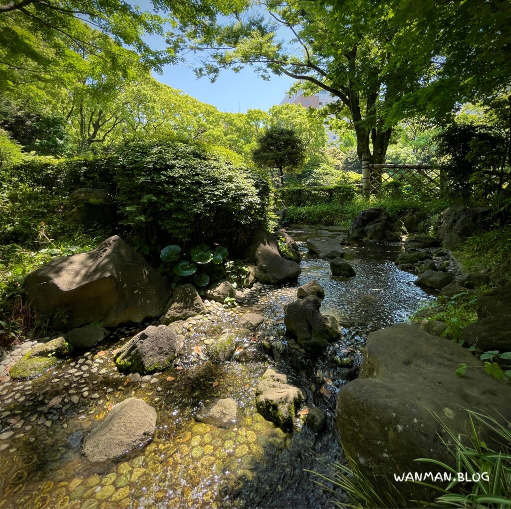 横浜公園