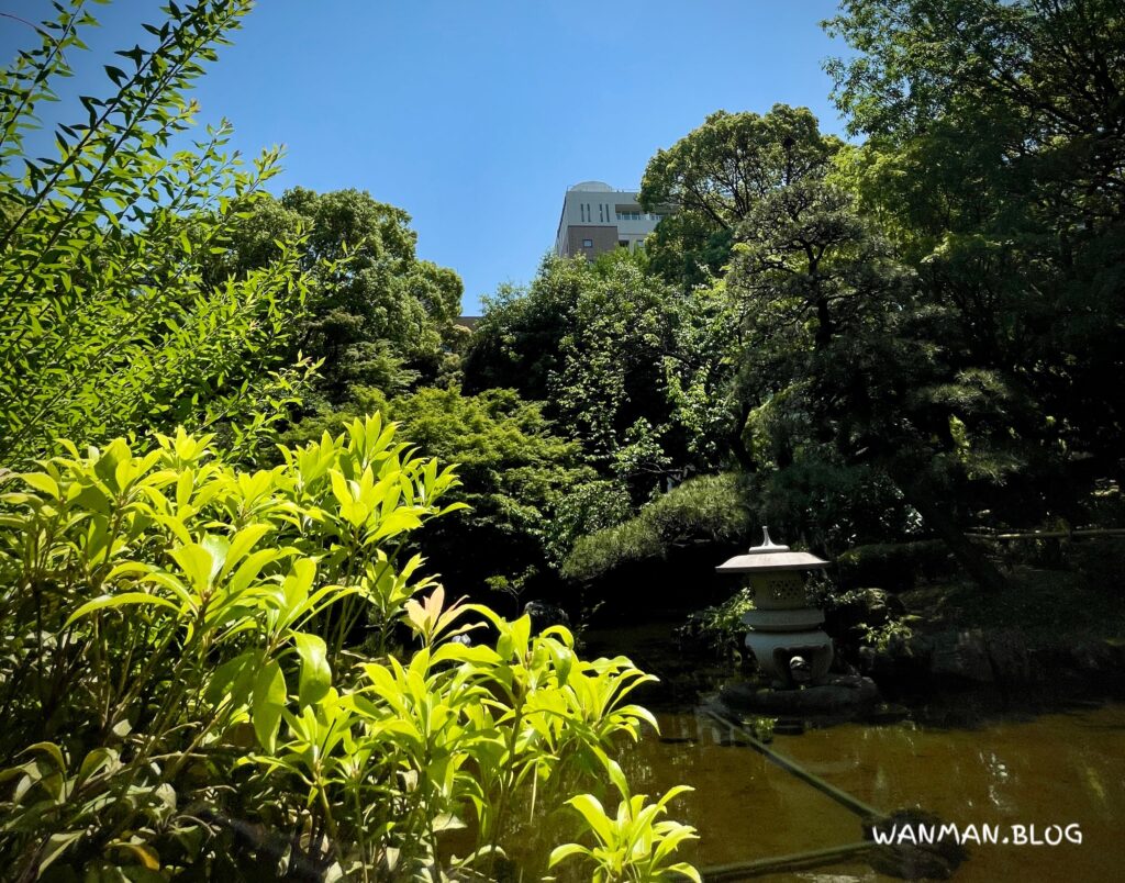 横浜公園
