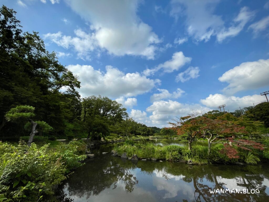 こども自然公園大池