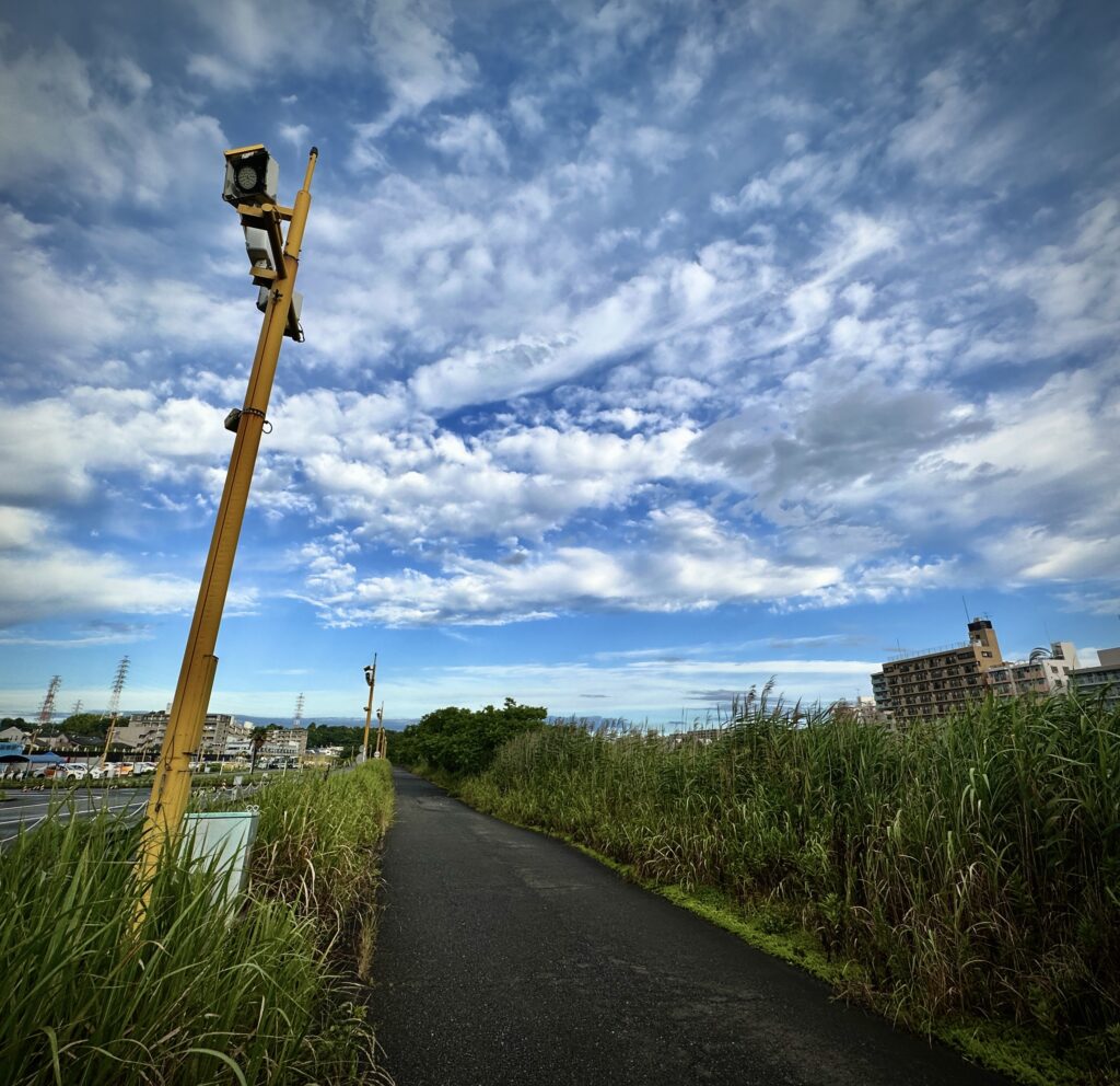 鶴見川河川敷大倉駅側