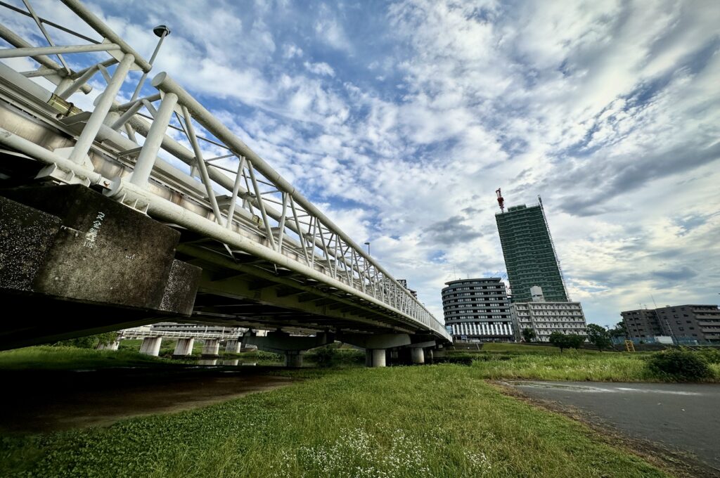 大綱橋