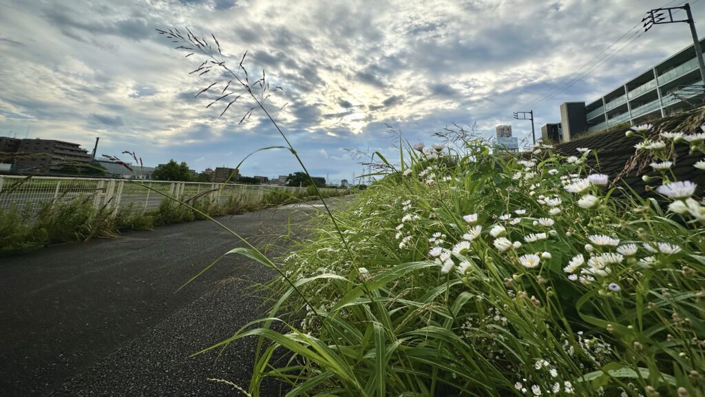 鶴見川河川道路大倉駅側