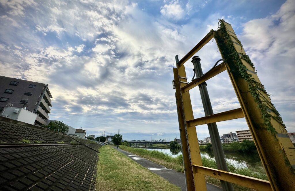 鶴見川河川道路