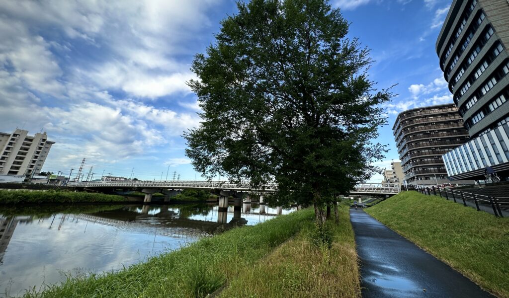 鶴見川河川道路