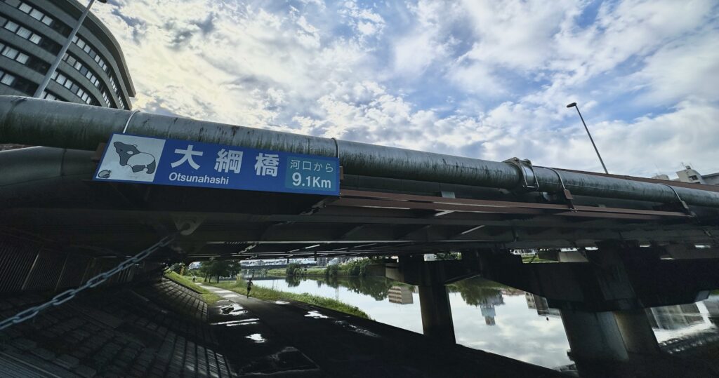 大綱橋