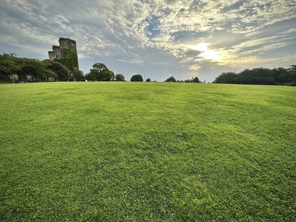 根岸森林公園