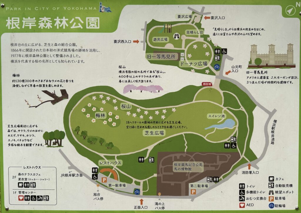 根岸森林公園map
