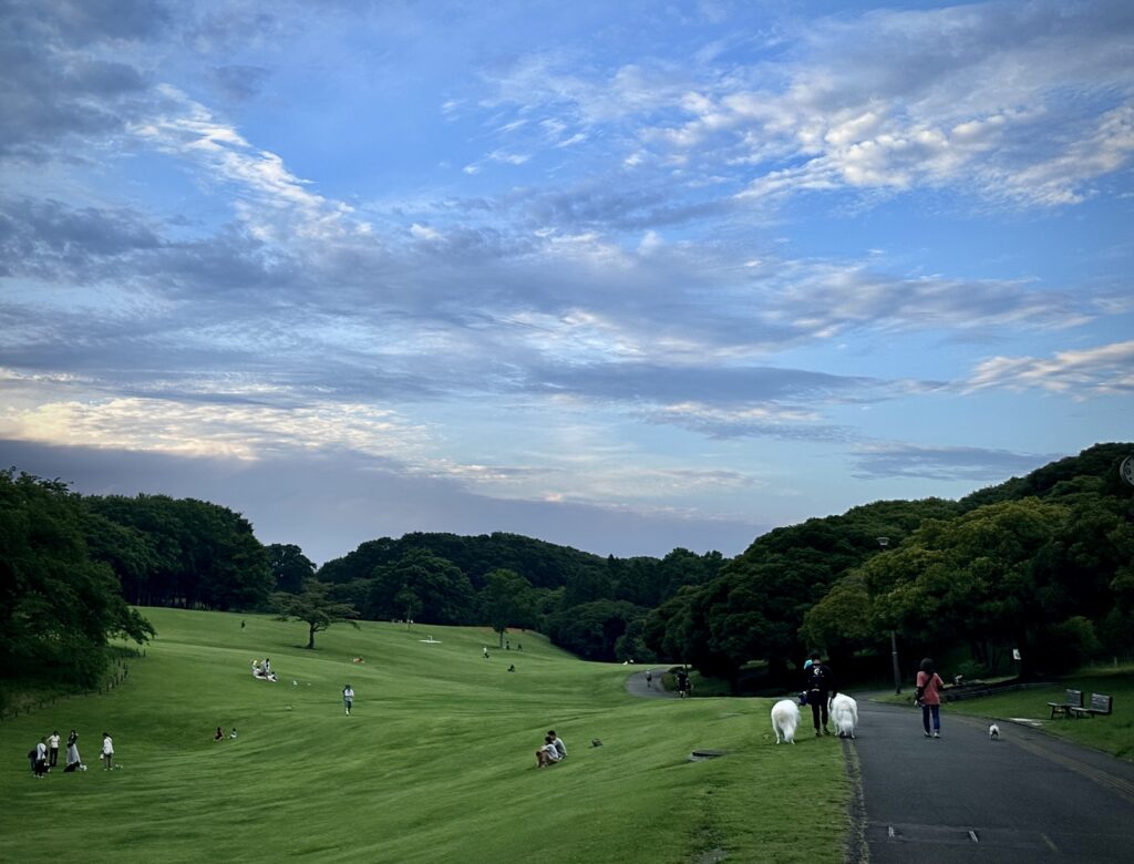 根岸森林公園