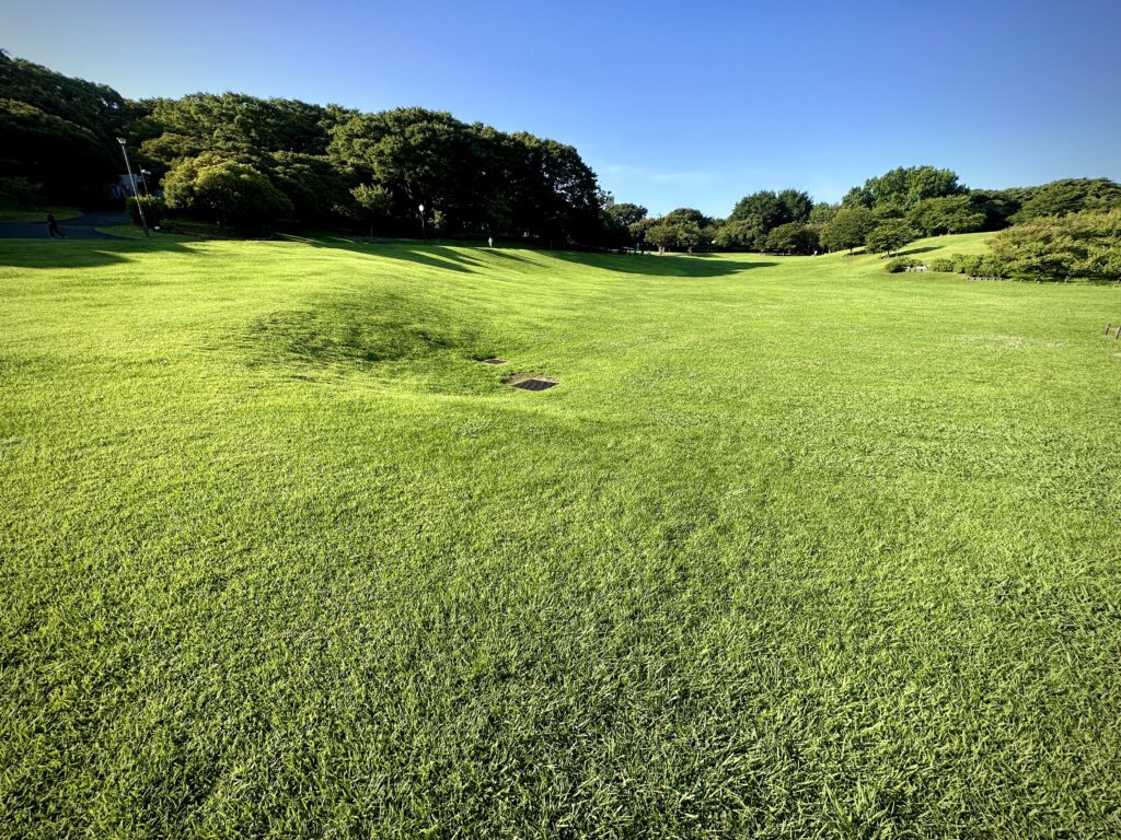 根岸森林公園