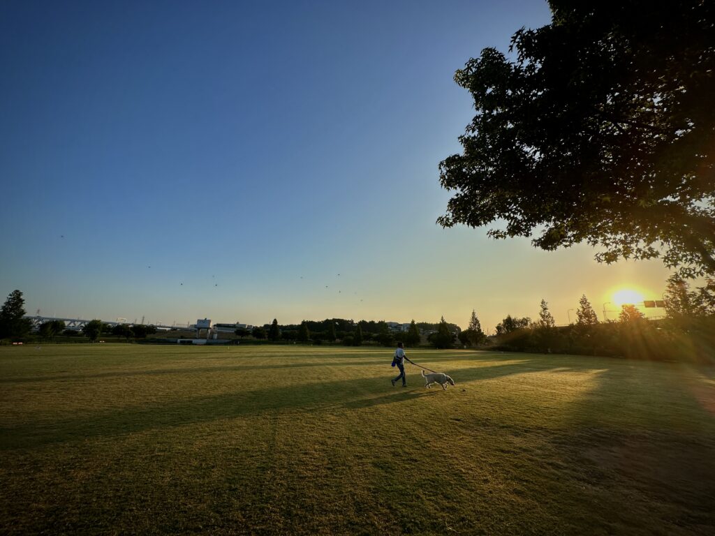 新横浜公園