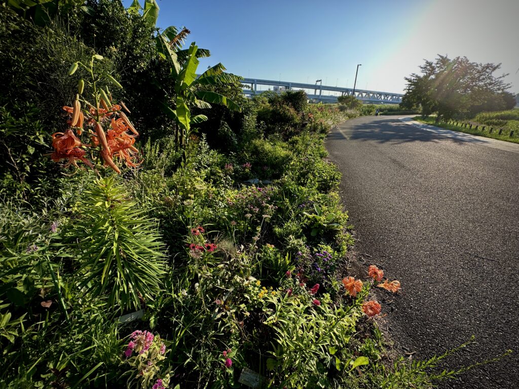 新横浜公園