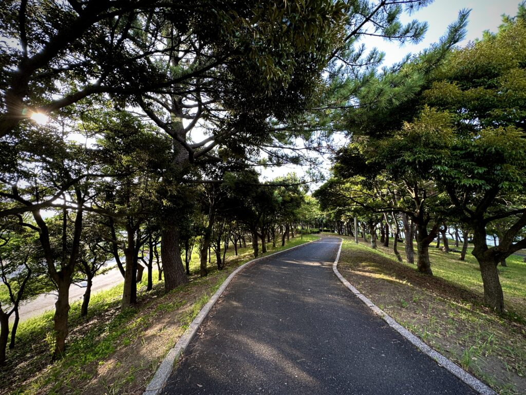 樹木散歩道