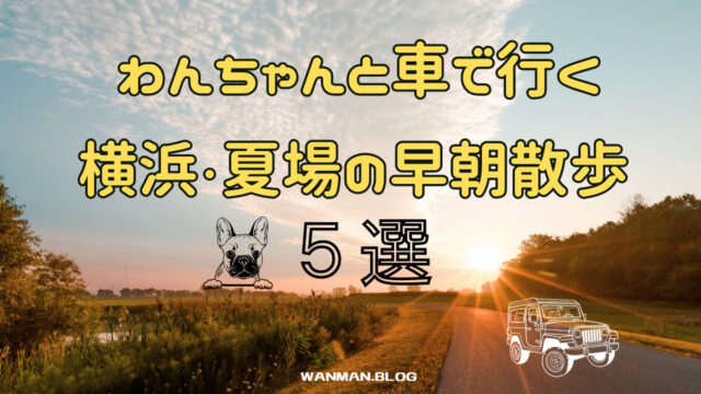 朝散歩５選