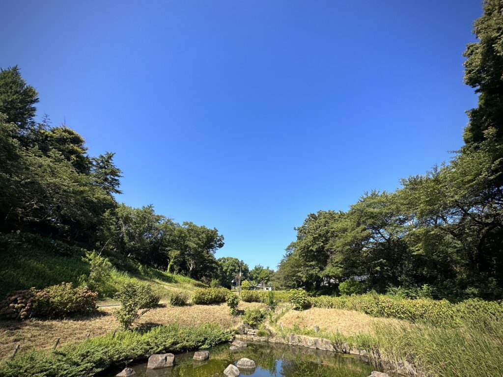 保土ヶ谷公園
