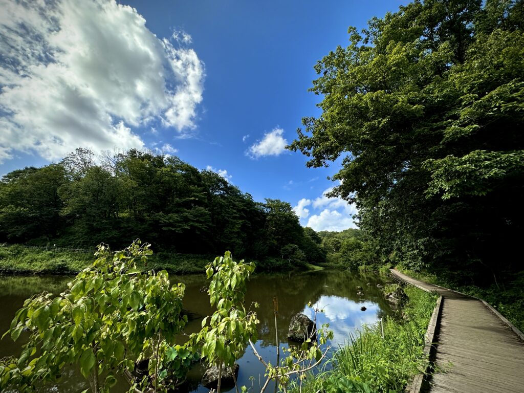 四季の森公園