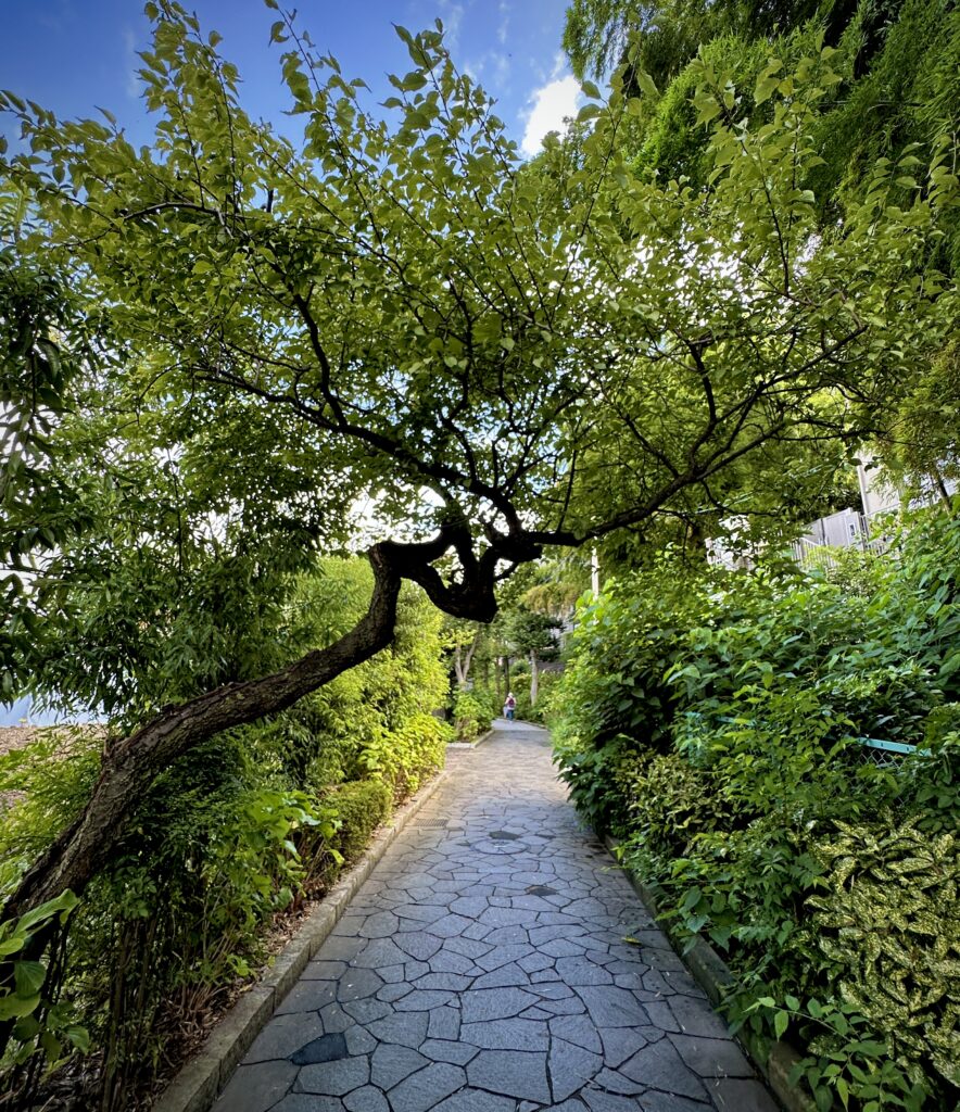 四季の森公園プロムナード