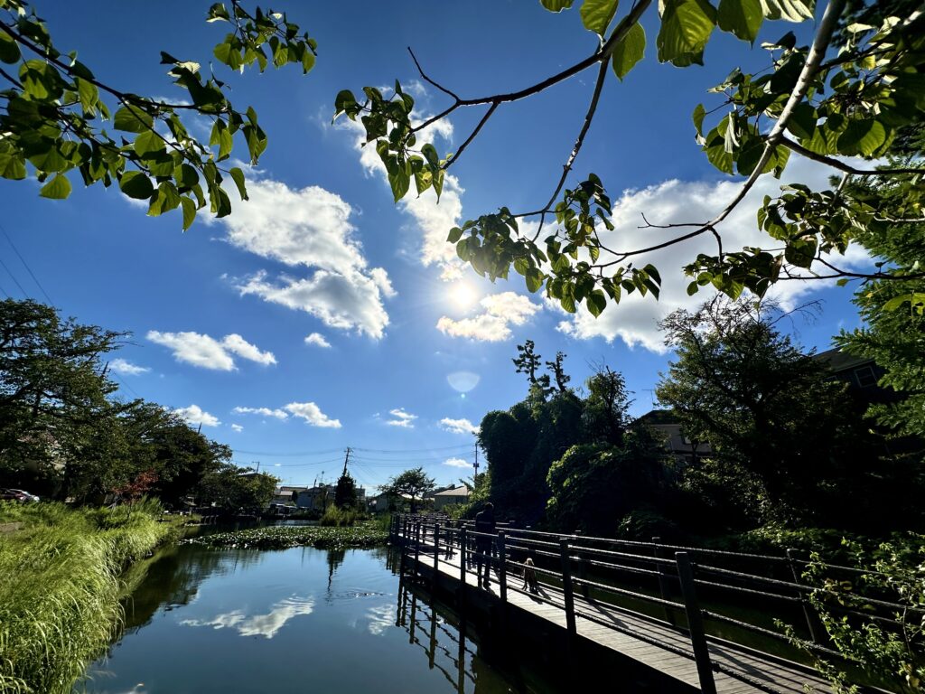 白幡池公園