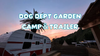 dog dept camp trailer